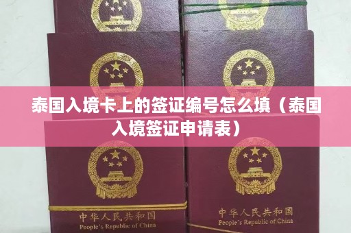 泰国入境卡上的签证编号怎么填（泰国入境签证申请表）  第1张