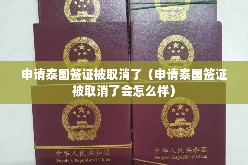 申请泰国签证被取消了（申请泰国签证被取消了会怎么样）  第1张