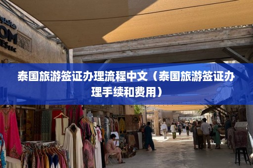 泰国旅游签证办理流程中文（泰国旅游签证办理手续和费用）