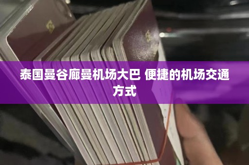 泰国曼谷廊曼机场大巴 便捷的机场交通方式  第1张