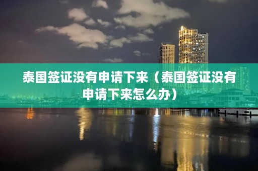 泰国签证没有申请下来（泰国签证没有申请下来怎么办）  第1张