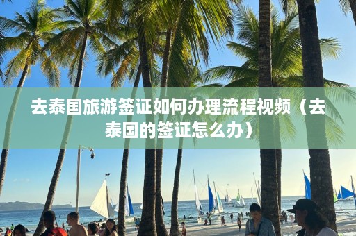 去泰国旅游签证如何办理流程视频（去泰国的签证怎么办）