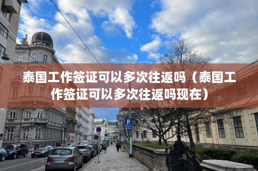 泰国工作签证可以多次往返吗（泰国工作签证可以多次往返吗现在）  第1张