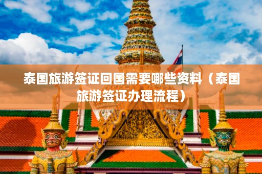 泰国旅游签证回国需要哪些资料（泰国旅游签证办理流程）  第1张