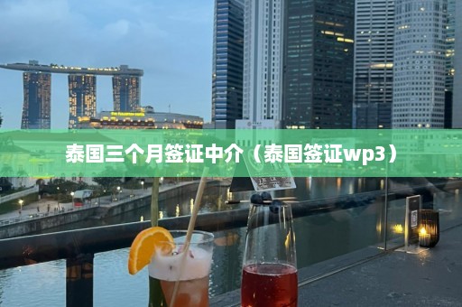 泰国三个月签证中介（泰国签证wp3）