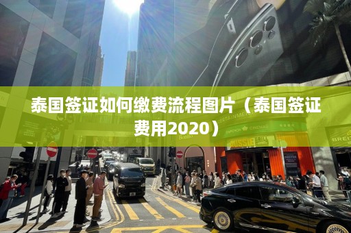 泰国签证如何缴费流程图片（泰国签证费用2020）  第1张