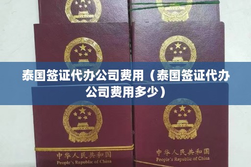 泰国签证代办公司费用（泰国签证代办公司费用多少）