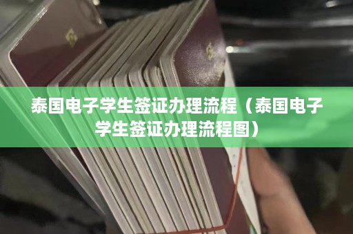 泰国电子学生签证办理流程（泰国电子学生签证办理流程图）  第1张