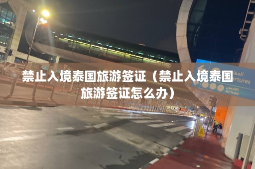 禁止入境泰国旅游签证（禁止入境泰国旅游签证怎么办）