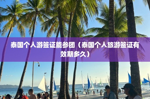 泰国个人游签证能参团（泰国个人旅游签证有效期多久）