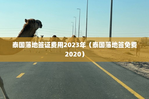 泰国落地签证费用2023年（泰国落地签免费2020）