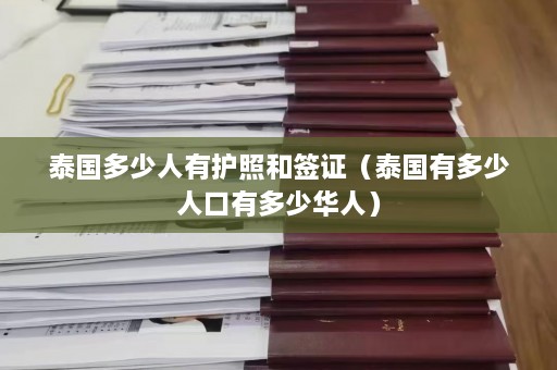 泰国多少人有护照和签证（泰国有多少人口有多少华人）  第1张