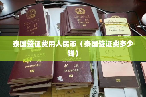 泰国签证费用人民币（泰国签证费多少钱）  第1张