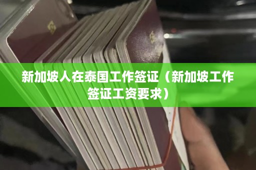 新加坡人在泰国工作签证（新加坡工作签证工资要求）  第1张