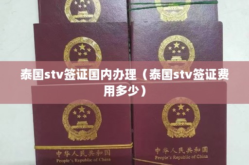 泰国stv签证国内办理（泰国stv签证费用多少）  第1张