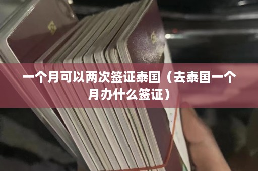 一个月可以两次签证泰国（去泰国一个月办什么签证）  第1张