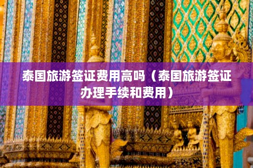 泰国旅游签证费用高吗（泰国旅游签证办理手续和费用）