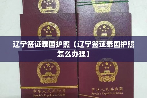 辽宁签证泰国护照（辽宁签证泰国护照怎么办理）  第1张