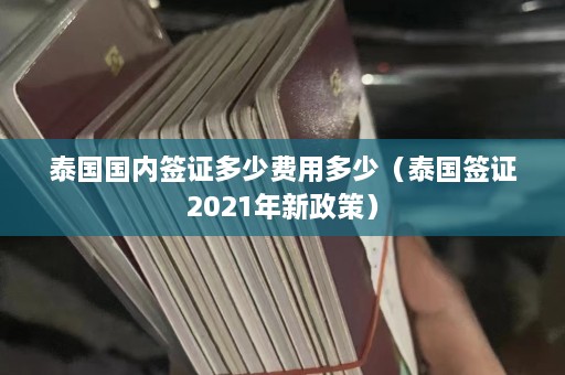 泰国国内签证多少费用多少（泰国签证2021年新政策）