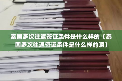 泰国多次往返签证条件是什么样的（泰国多次往返签证条件是什么样的啊）