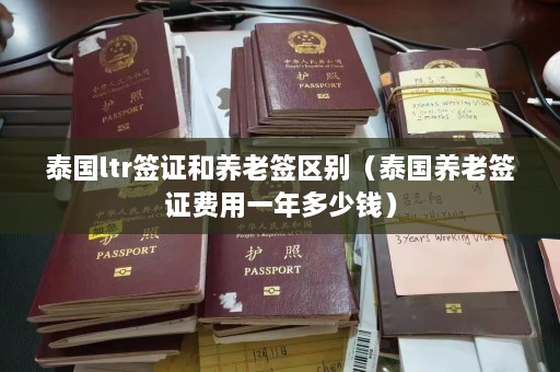 泰国ltr签证和养老签区别（泰国养老签证费用一年多少钱）  第1张