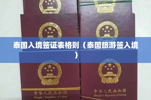 泰国入境签证表格则（泰国旅游签入境）  第1张