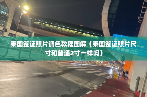 泰国签证照片调色教程图解（泰国签证照片尺寸和普通2寸一样吗）