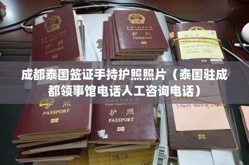 成都泰国签证手持护照照片（泰国驻成都领事馆电话人工咨询电话）