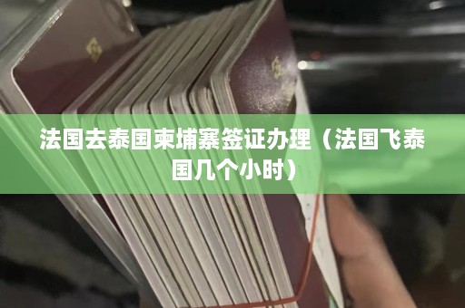 法国去泰国柬埔寨签证办理（法国飞泰国几个小时）  第1张