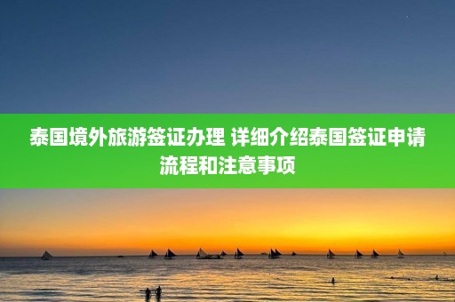 泰国境外旅游签证办理 详细介绍泰国签证申请流程和注意事项