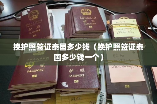 换护照签证泰国多少钱（换护照签证泰国多少钱一个）  第1张