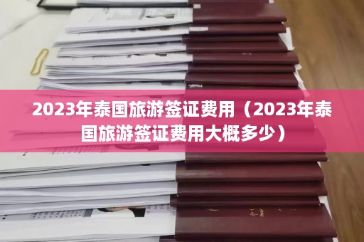 2023年泰国旅游签证费用（2023年泰国旅游签证费用大概多少）  第1张