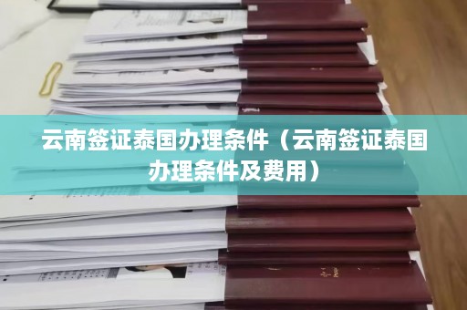 云南签证泰国办理条件（云南签证泰国办理条件及费用）  第1张