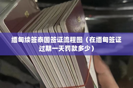  *** 续签泰国签证流程图（在 *** 签证过期一天罚款多少）  第1张