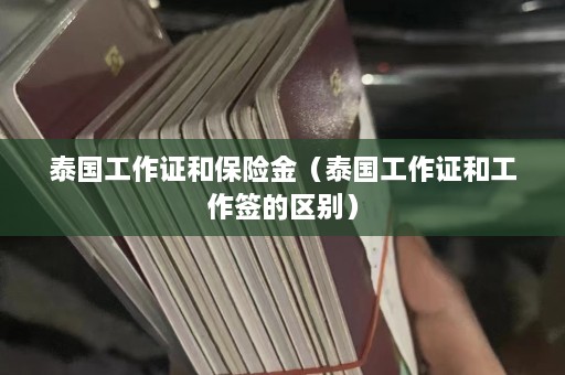 泰国工作证和保险金（泰国工作证和工作签的区别）  第1张