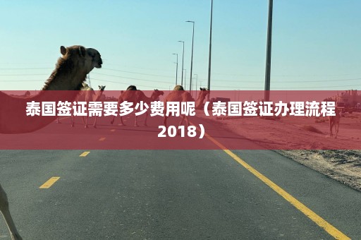 泰国签证需要多少费用呢（泰国签证办理流程2018）