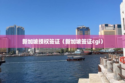 新加坡授权签证（新加坡签证cgi）