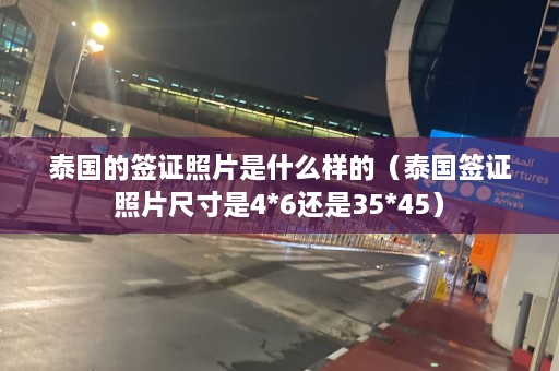 泰国的签证照片是什么样的（泰国签证照片尺寸是4*6还是35*45）  第1张