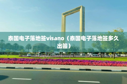 泰国电子落地签visano（泰国电子落地签多久出签）