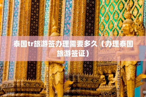 泰国tr旅游签办理需要多久（办理泰国旅游签证）  第1张