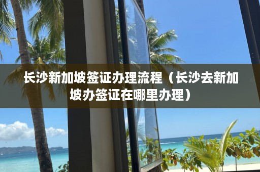 长沙新加坡签证办理流程（长沙去新加坡办签证在哪里办理）  第1张