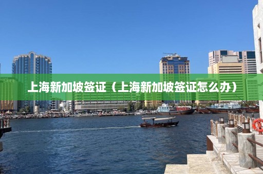 上海新加坡签证（上海新加坡签证怎么办）