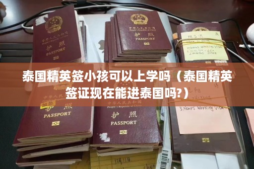 泰国精英签小孩可以上学吗（泰国精英签证现在能进泰国吗?）