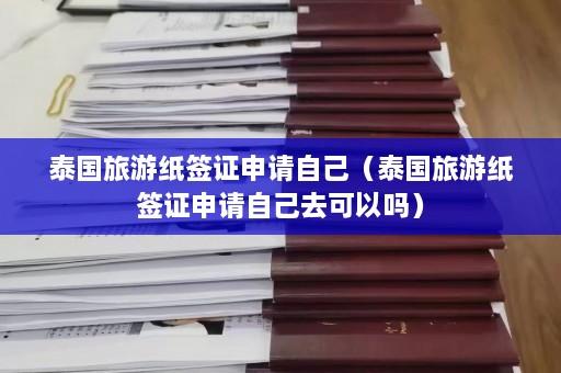 泰国旅游纸签证申请自己（泰国旅游纸签证申请自己去可以吗）  第1张