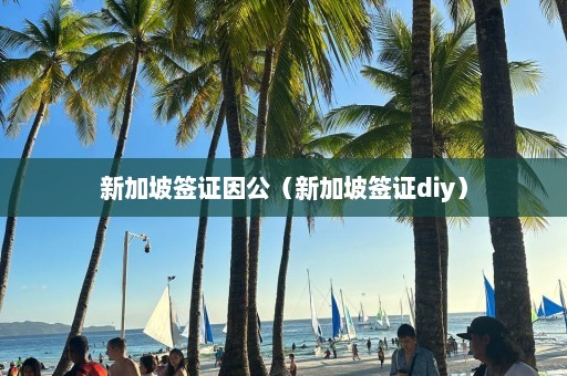 新加坡签证因公（新加坡签证diy）