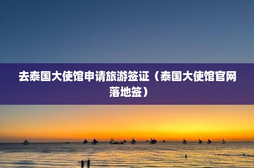 去泰国大使馆申请旅游签证（泰国大使馆官网 落地签）  第1张