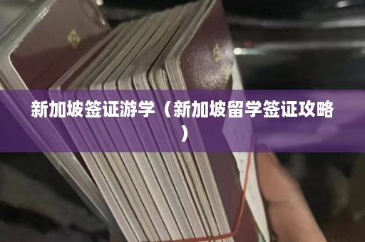 新加坡签证游学（新加坡留学签证攻略）