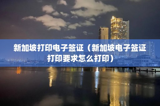 新加坡打印电子签证（新加坡电子签证打印要求怎么打印）  第1张