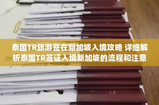 泰国TR旅游签在新加坡入境攻略 详细解析泰国TR签证入境新加坡的流程和注意事项  第1张