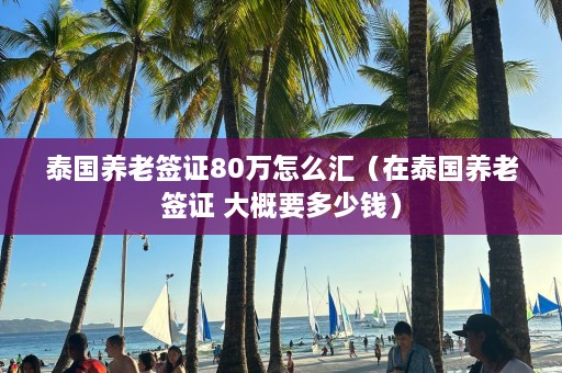 泰国养老签证80万怎么汇（在泰国养老签证 大概要多少钱）  第1张